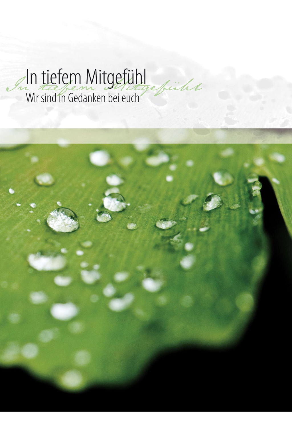 Faltkarte In tiefem Mitgefühl