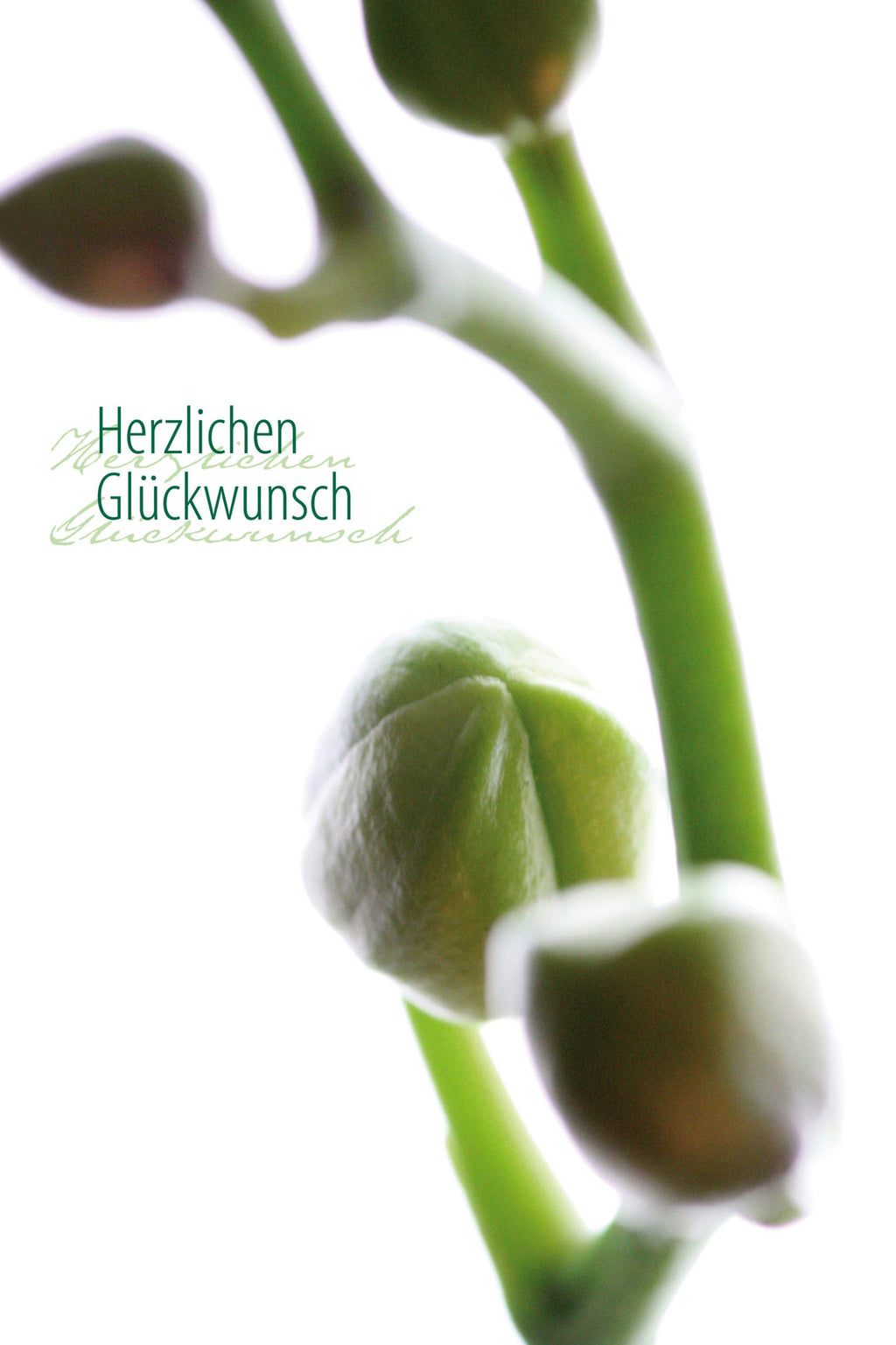 Faltkarte Herzlichen Glückwunsch