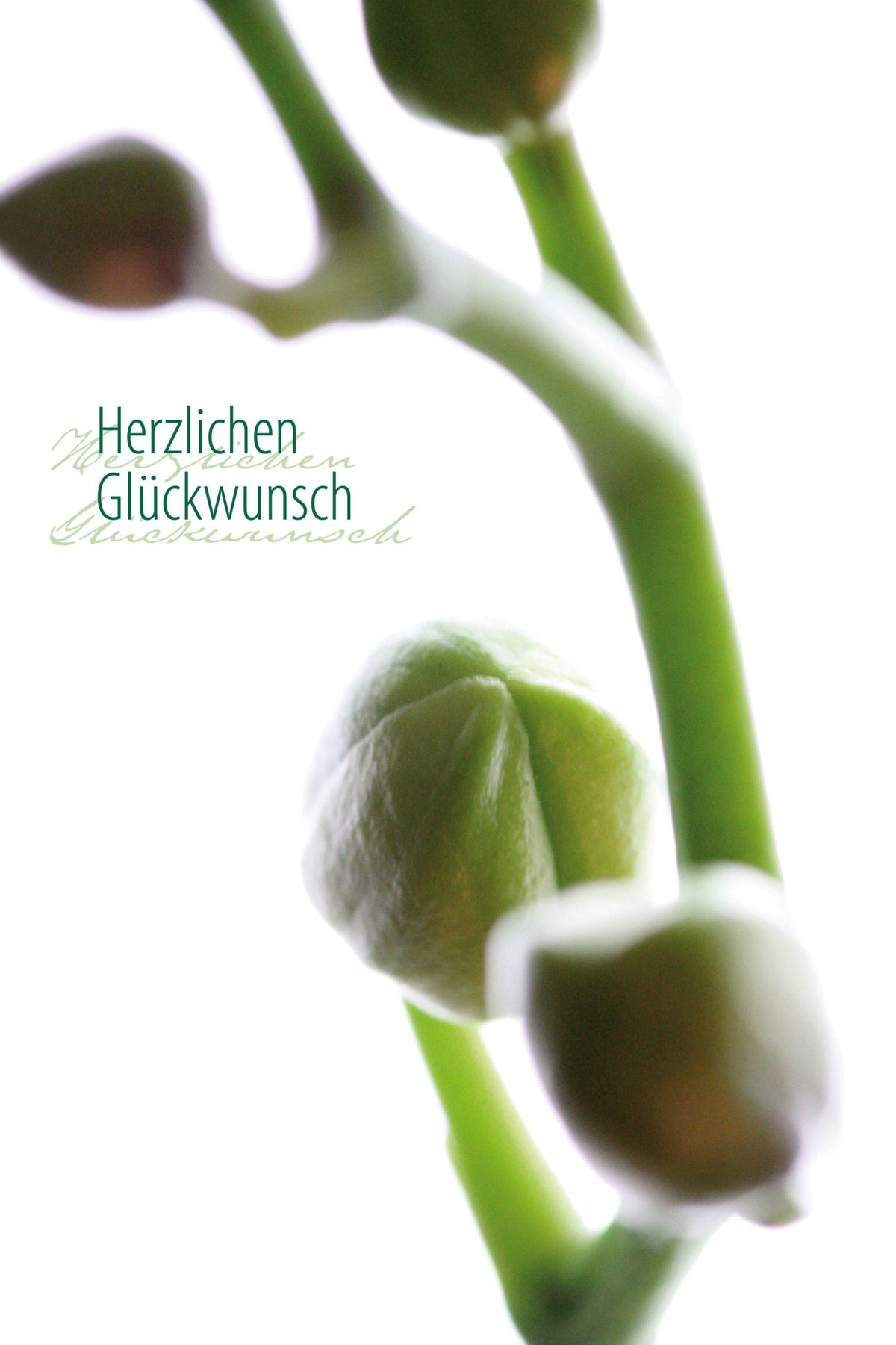Faltkarte Herzlichen Glückwunsch