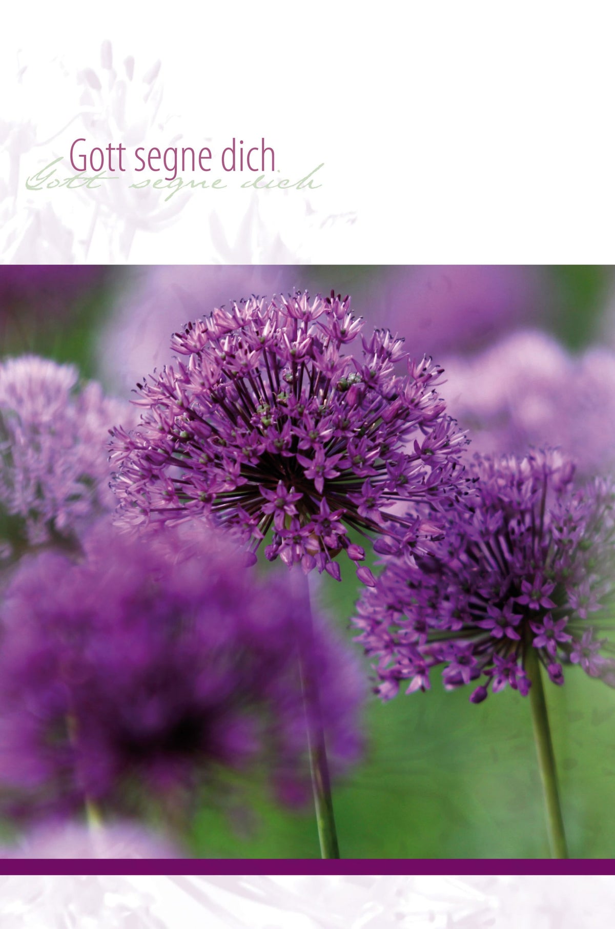 Faltkarte Gott segne dich