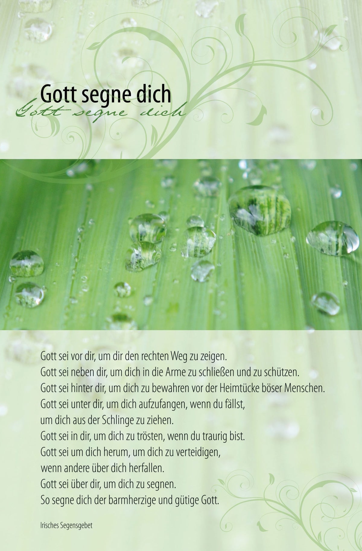 Faltkarte Gott segne dich!