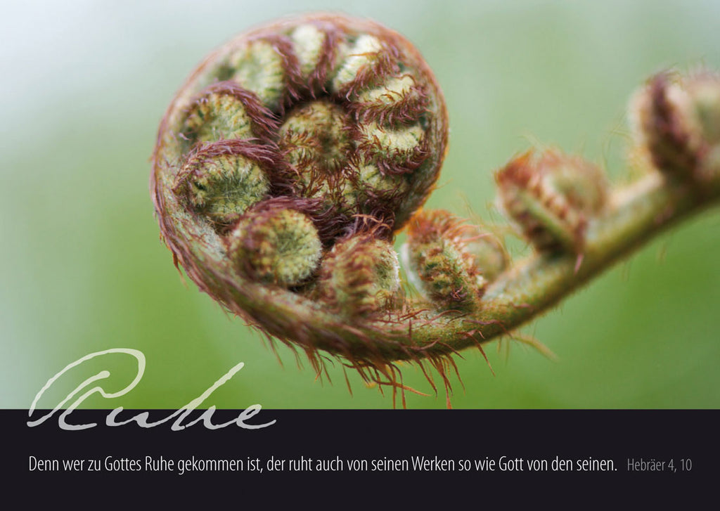 „Ruhe“ - Wer zu Gottes Ruhe gekommen ist