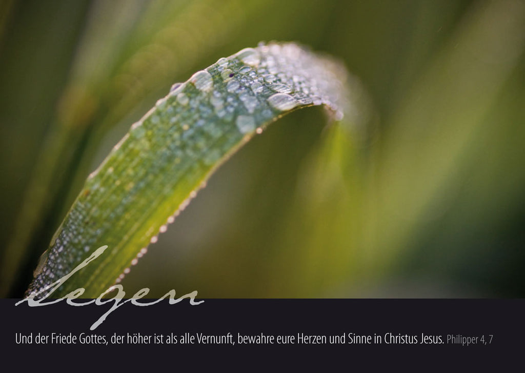 „Segen“ - Und der Friede Gottes, der höher ist