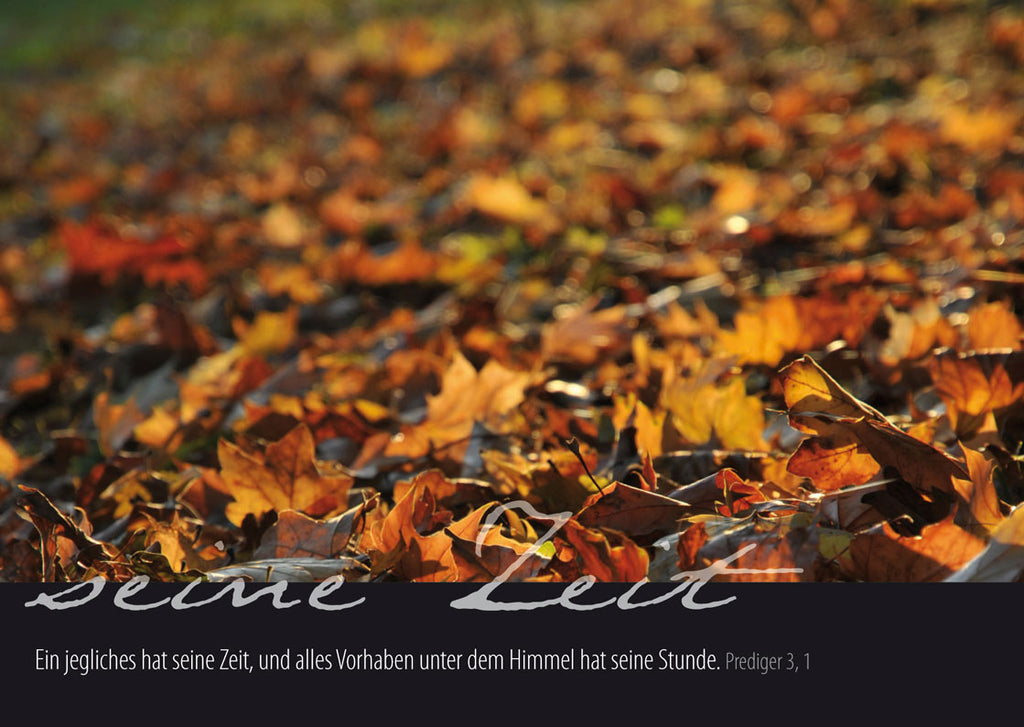 „seine Zeit“ - Ein jegliches hat seine Zeit