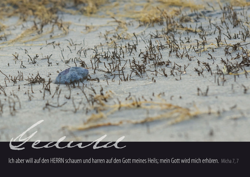 „Geduld“ - Ich aber will auf den Herrn schauen...