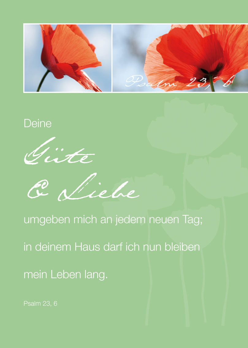 Psalm-Cards Güte &amp; Liebe
