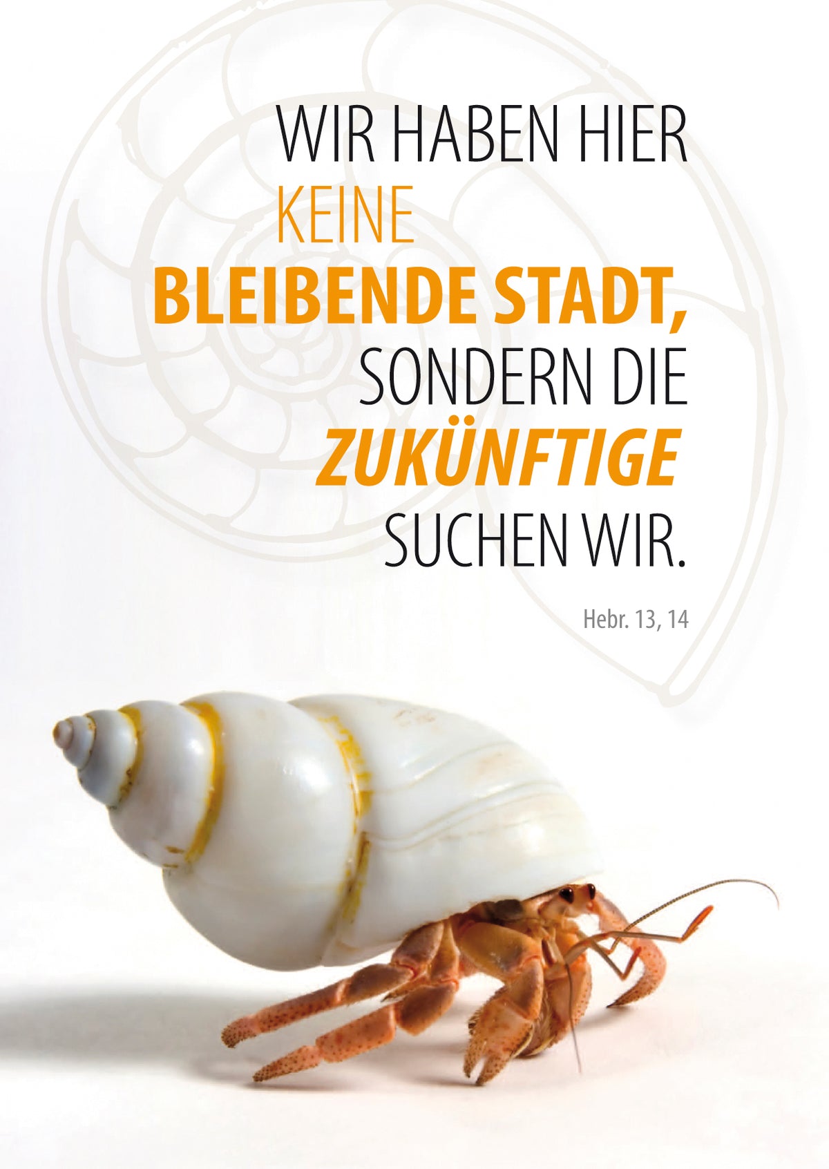 Postkarte Jahreslosung 2013 (10er)