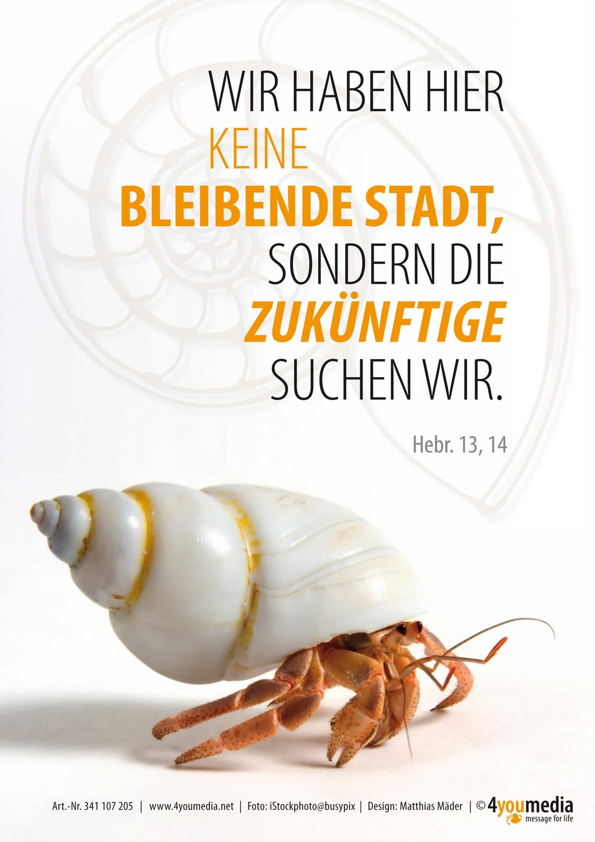 Poster A4 JL 2013 - Einsiedlerkrebs