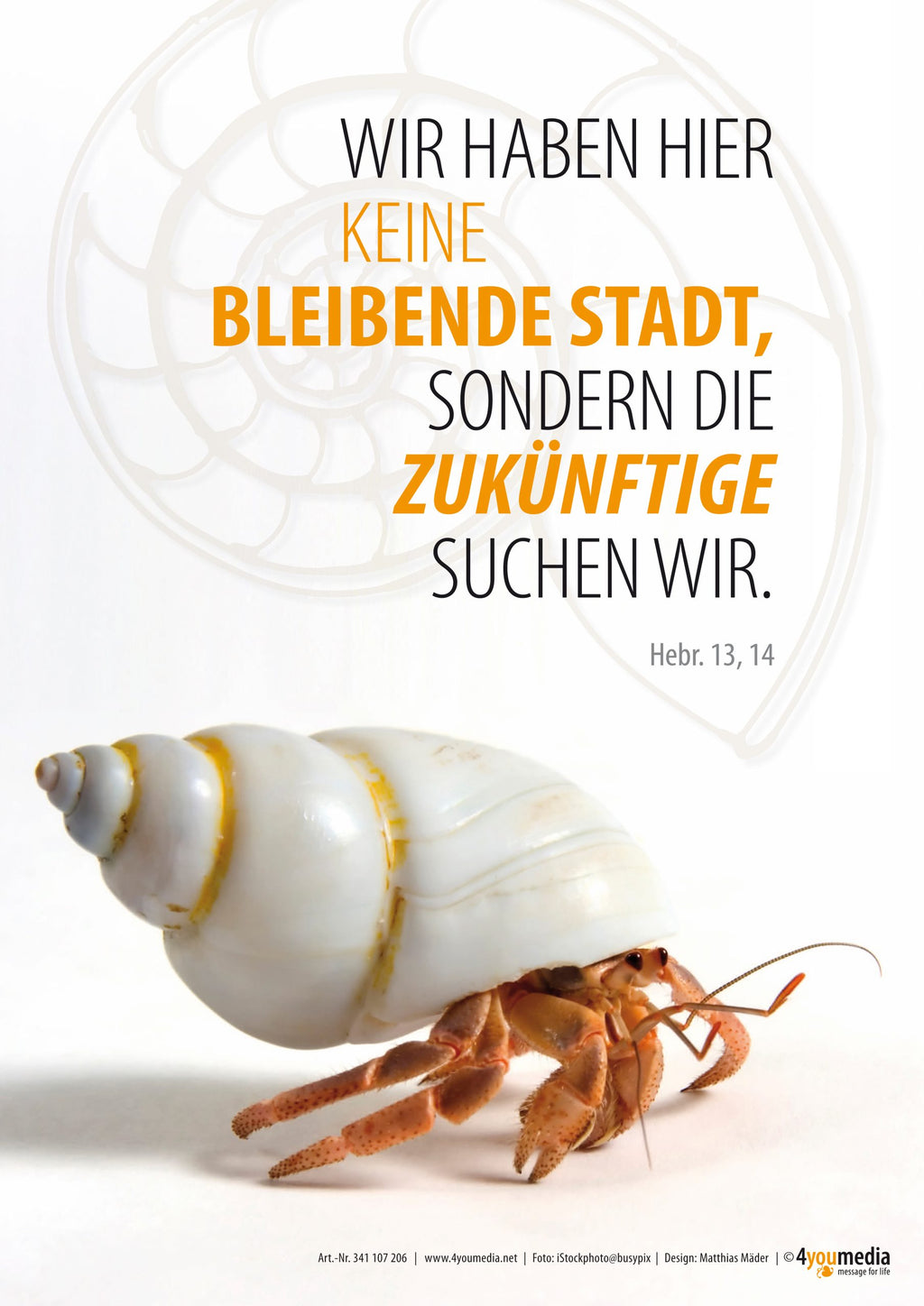 Poster A3 Jahreslosung 2013 - Einsiedlerkrebs