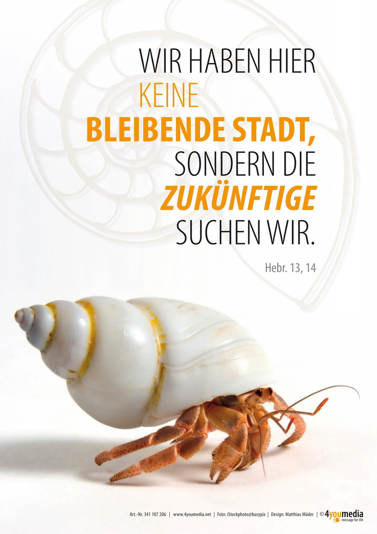 Poster A3 Jahreslosung 2013 - Einsiedlerkrebs