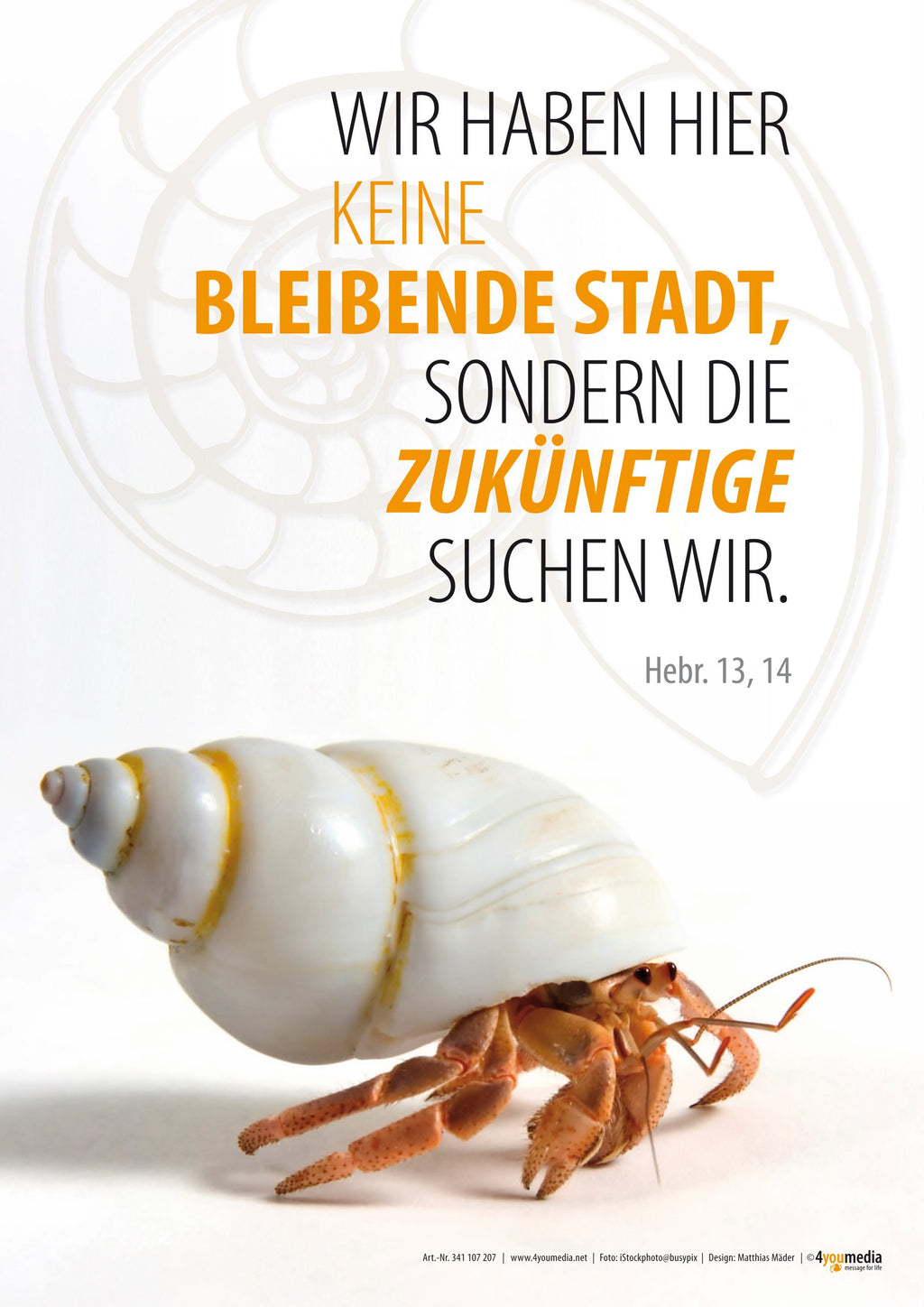 Poster A2 Jahreslosung 2013 - Einsiedlerkrebs