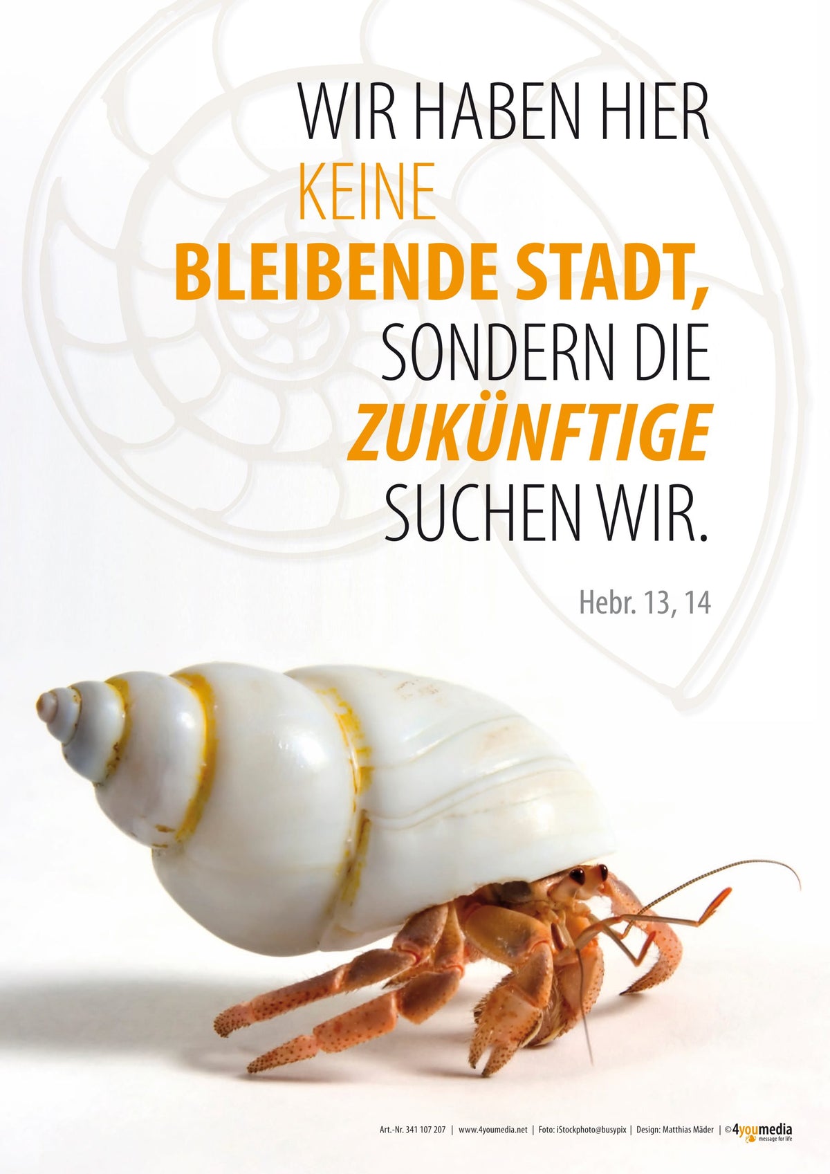 Poster A2 Jahreslosung 2013 - Einsiedlerkrebs
