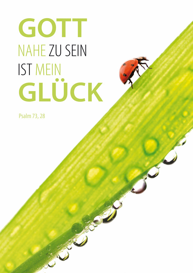 Postkarte Jahreslosung 2014 (10er)