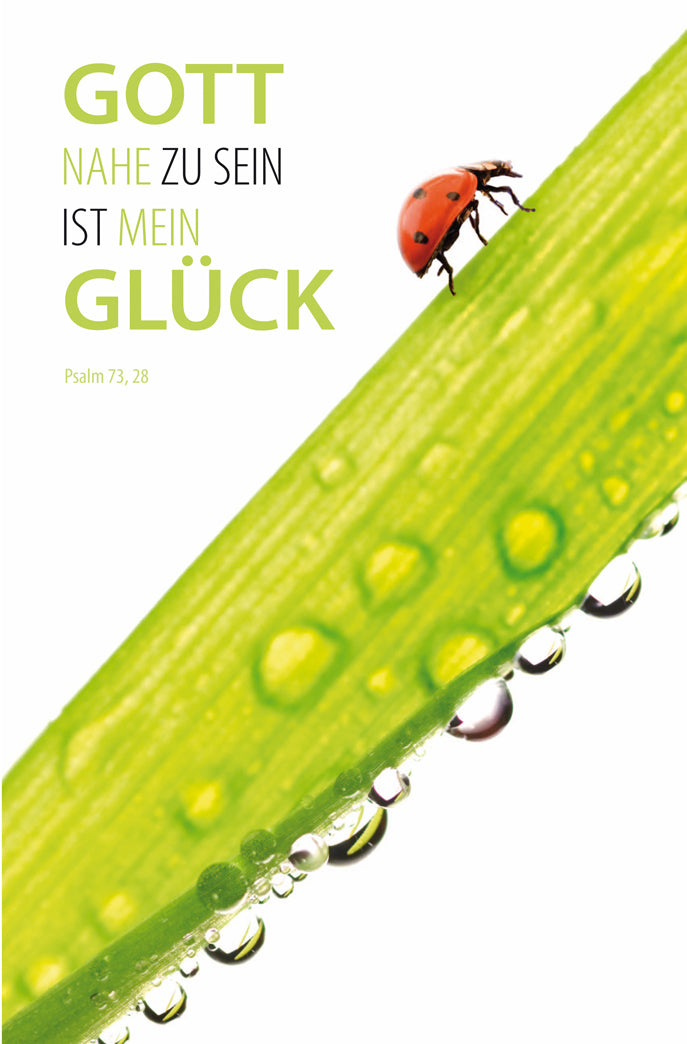 Faltkarte Jahreslosung 2014