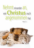 Postkarte Jahreslosung 2015 (10er)