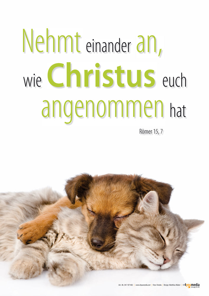 Poster A2 Jahreslosung 2015