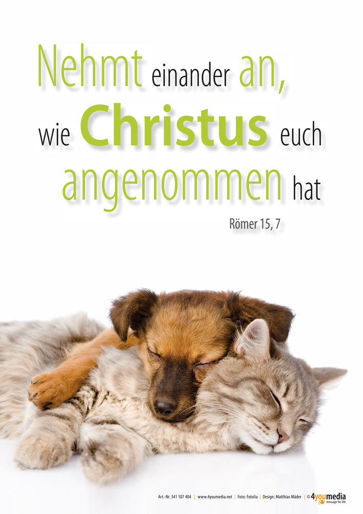 Poster A4 Jahreslosung 2015