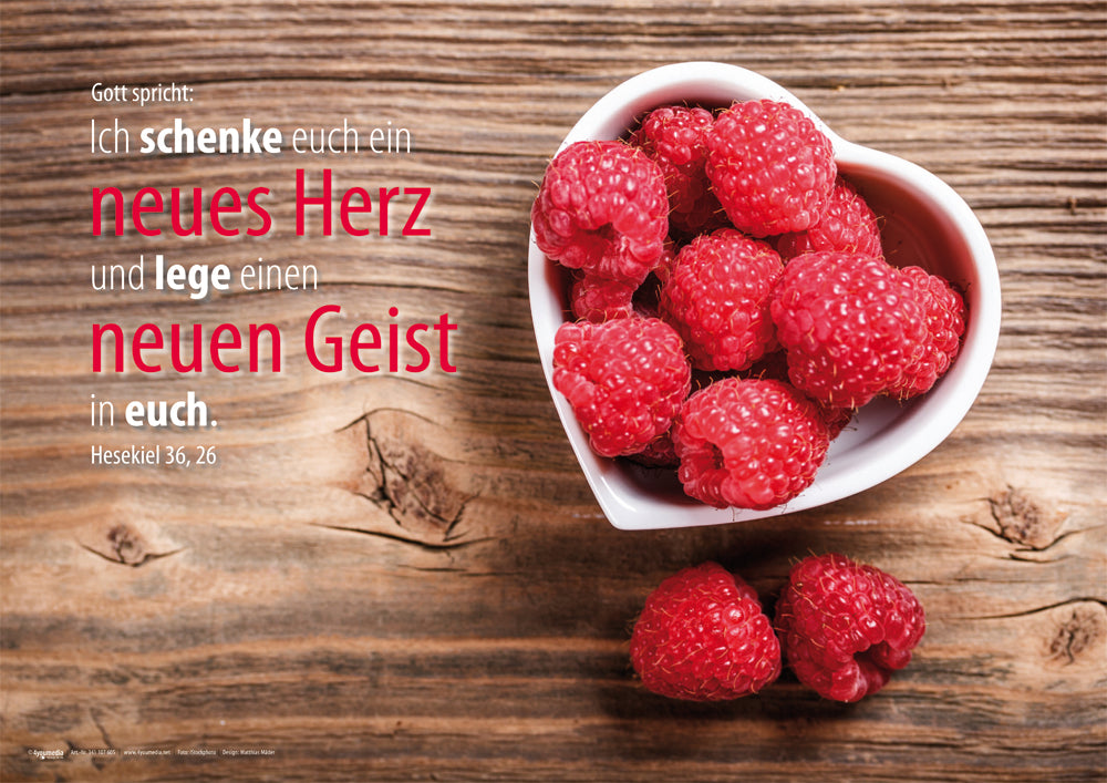 Poster A2 Jahreslosung 2017