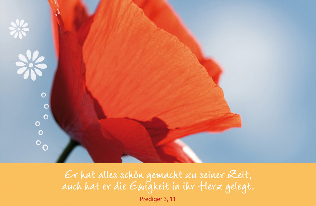 Er hat alles schön gemacht