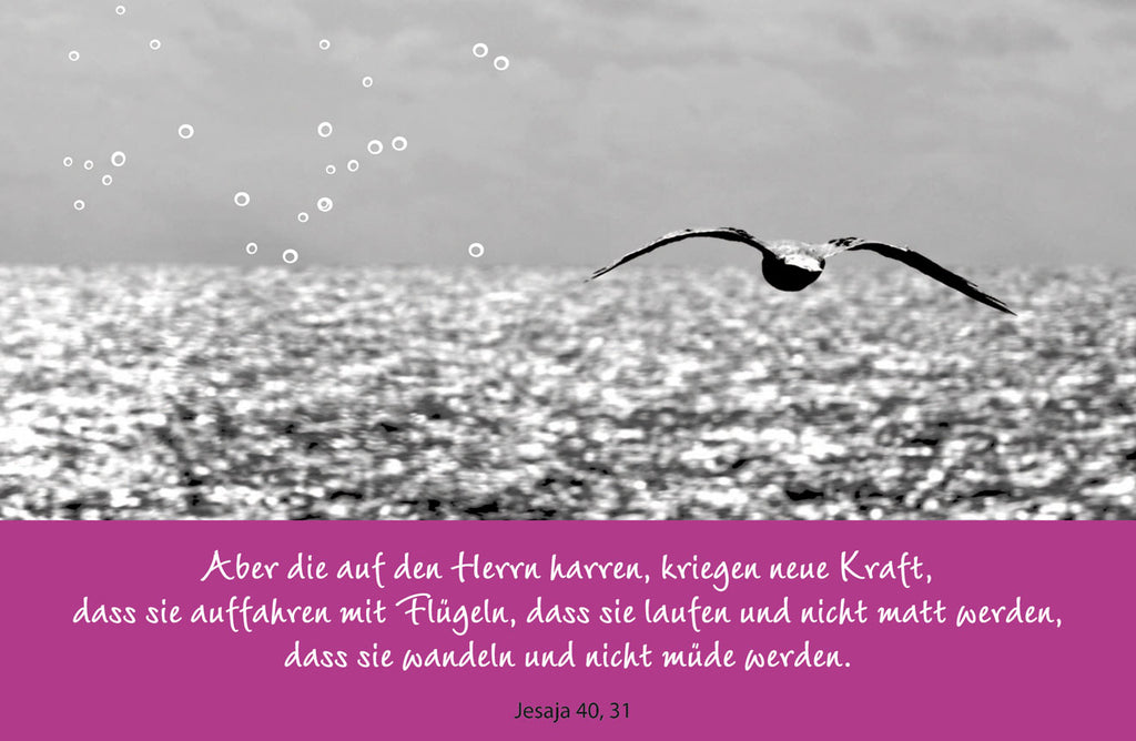 Die auf den Herrn harren, kriegen neue Kraft