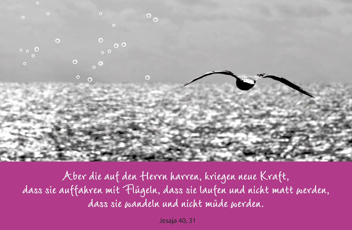 Die auf den Herrn harren, kriegen neue Kraft