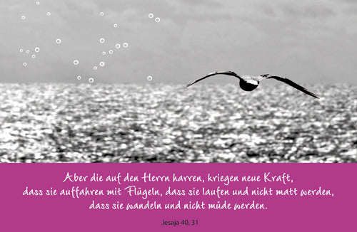 Die auf den Herrn harren, kriegen neue Kraft