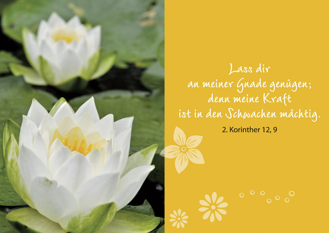Lass dir an meiner Gnade genügen