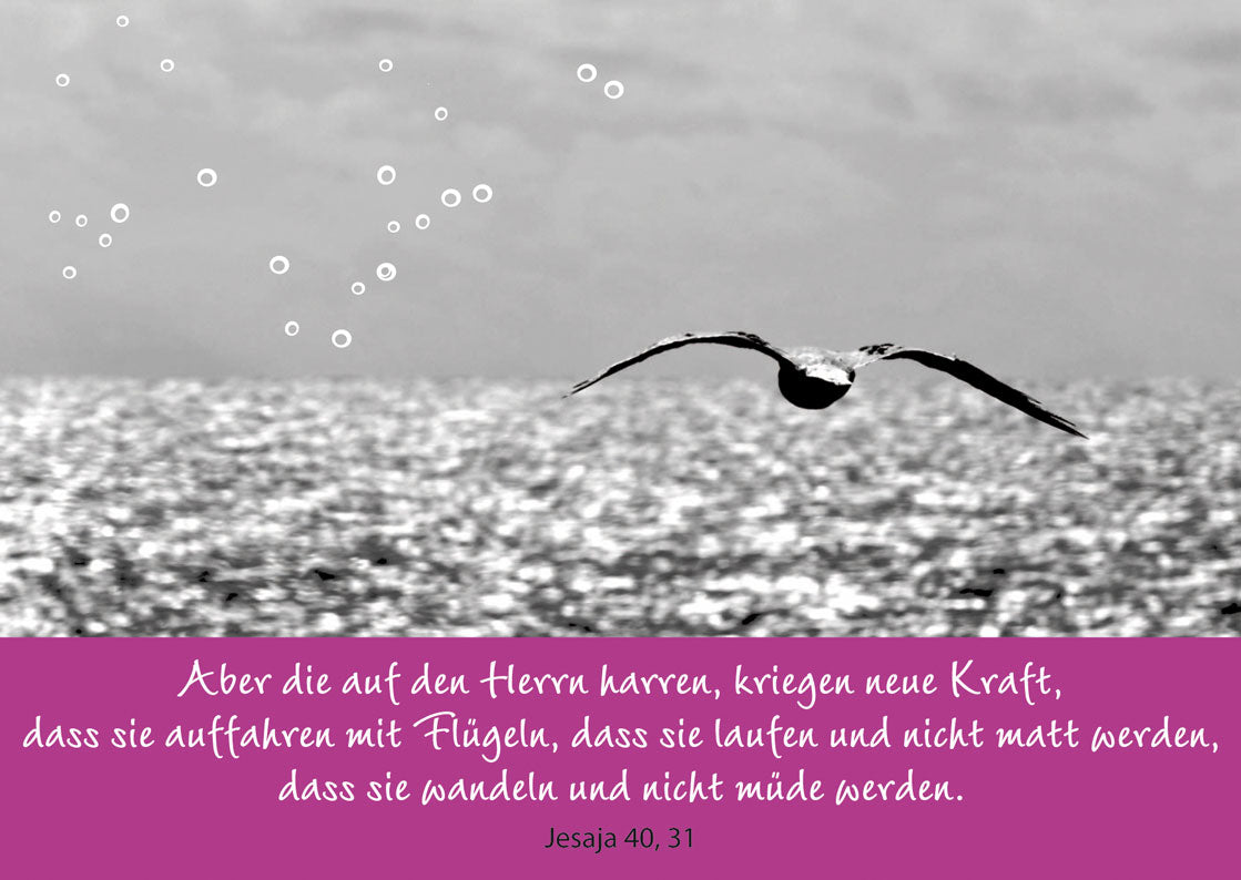 Aber die auf den Herrn harren...