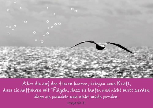 Aber die auf den Herrn harren...