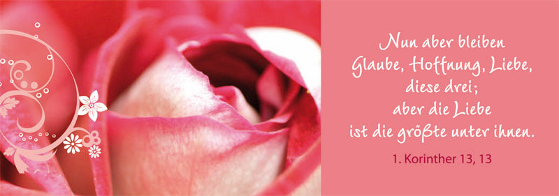 Lesezeichen Geliebt