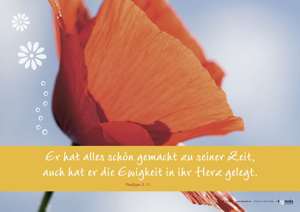 Poster A2 Er hat alles schön gemacht