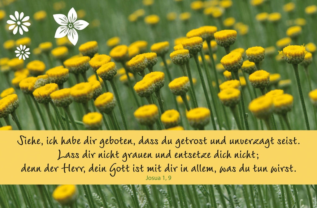 „Vertrauen“ - Siehe, ich habe dir geboten...