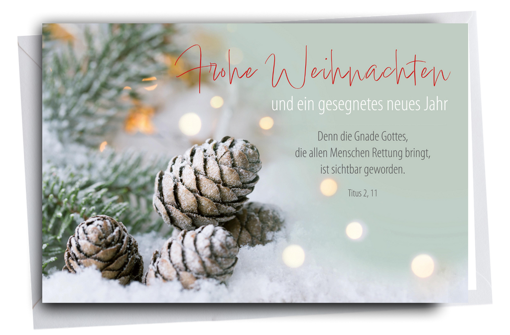 Faltkarte Weihnachten Tannenzapfen