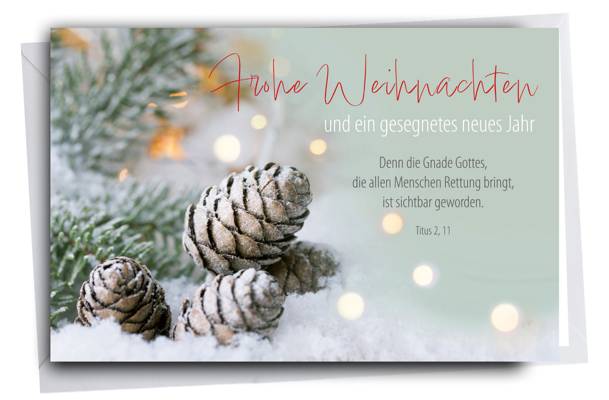 Faltkarte Weihnachten Tannenzapfen