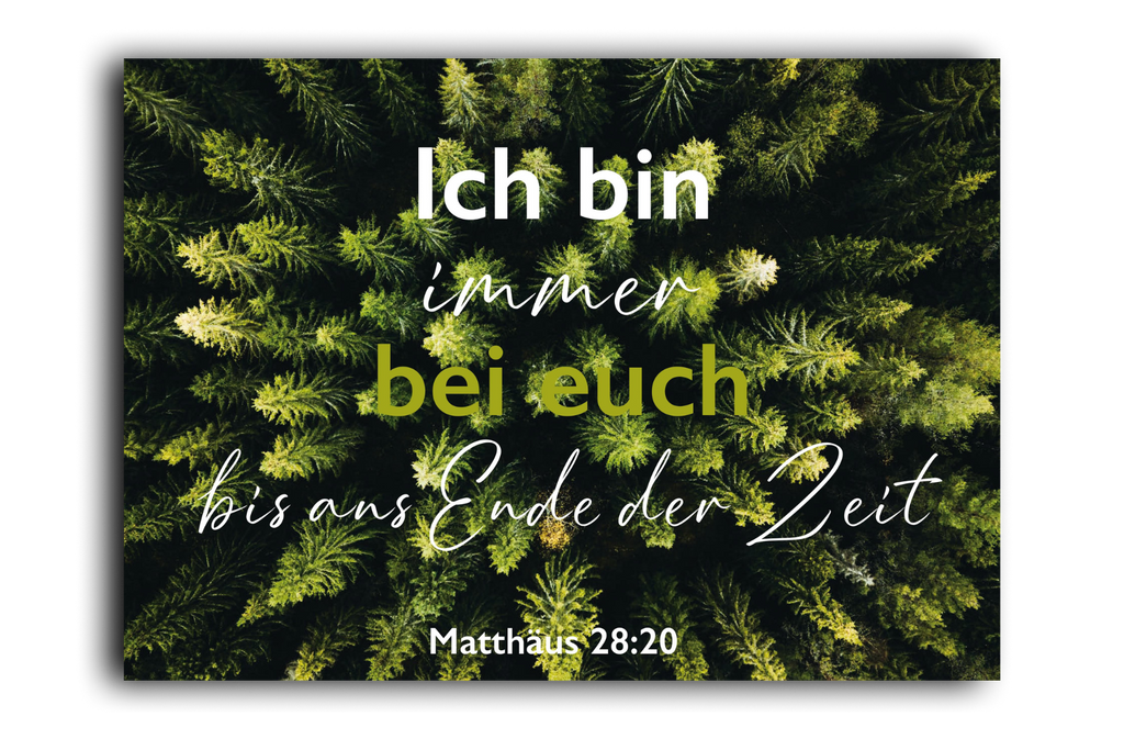 Postkarte Wald
