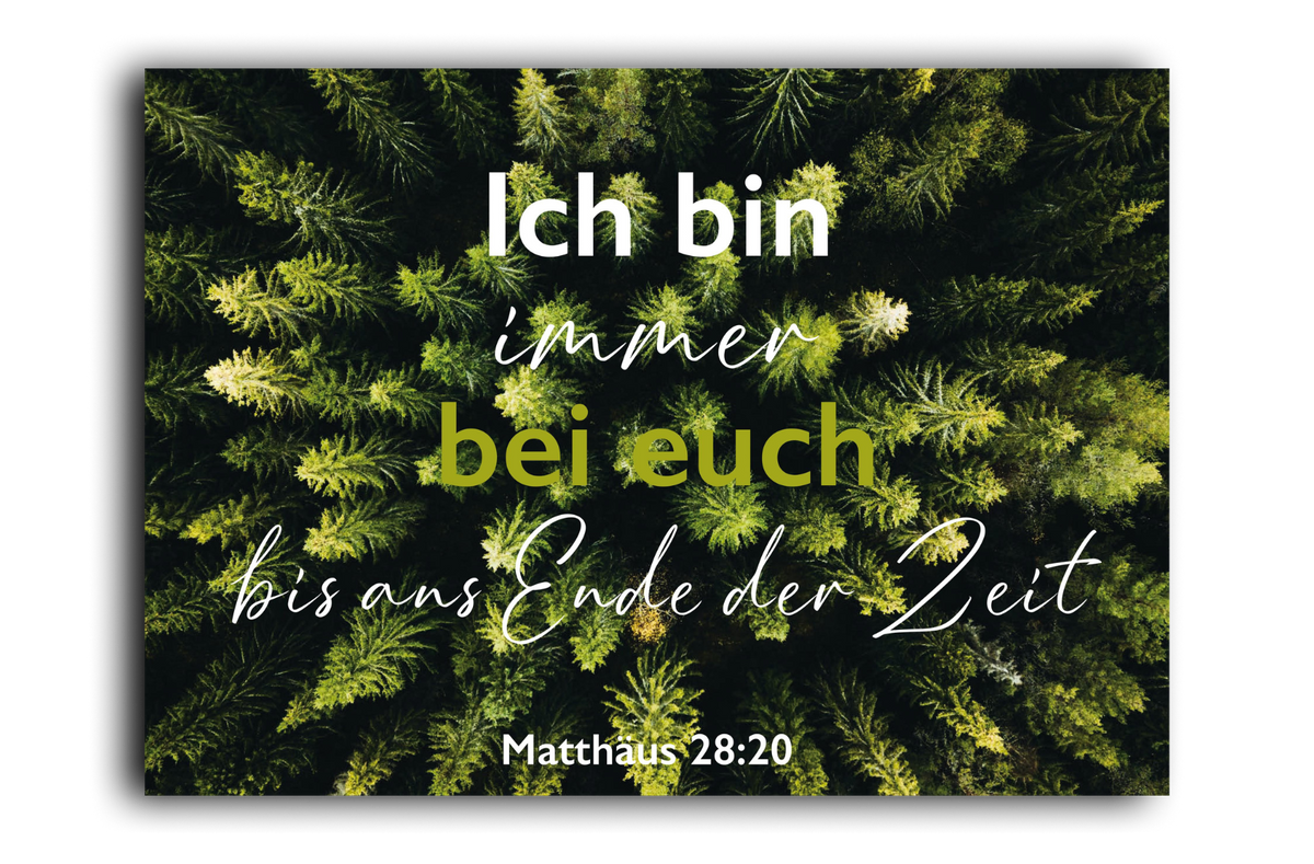 Postkarte Wald