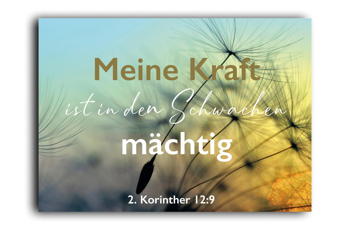 Postkarte Pusteblume