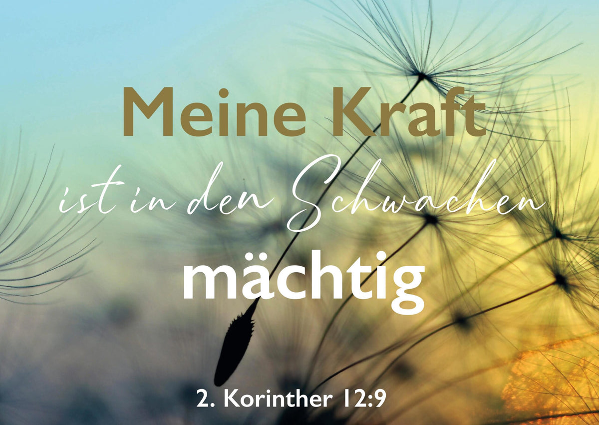 Postkarte Pusteblume