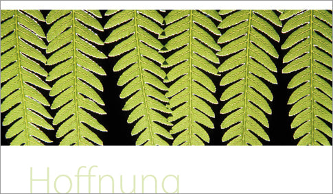 Hoffnung
