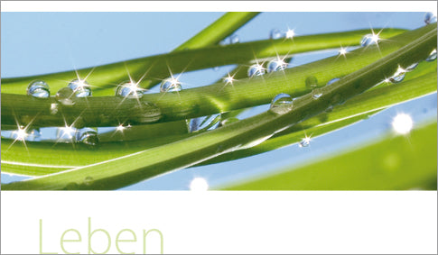 Leben