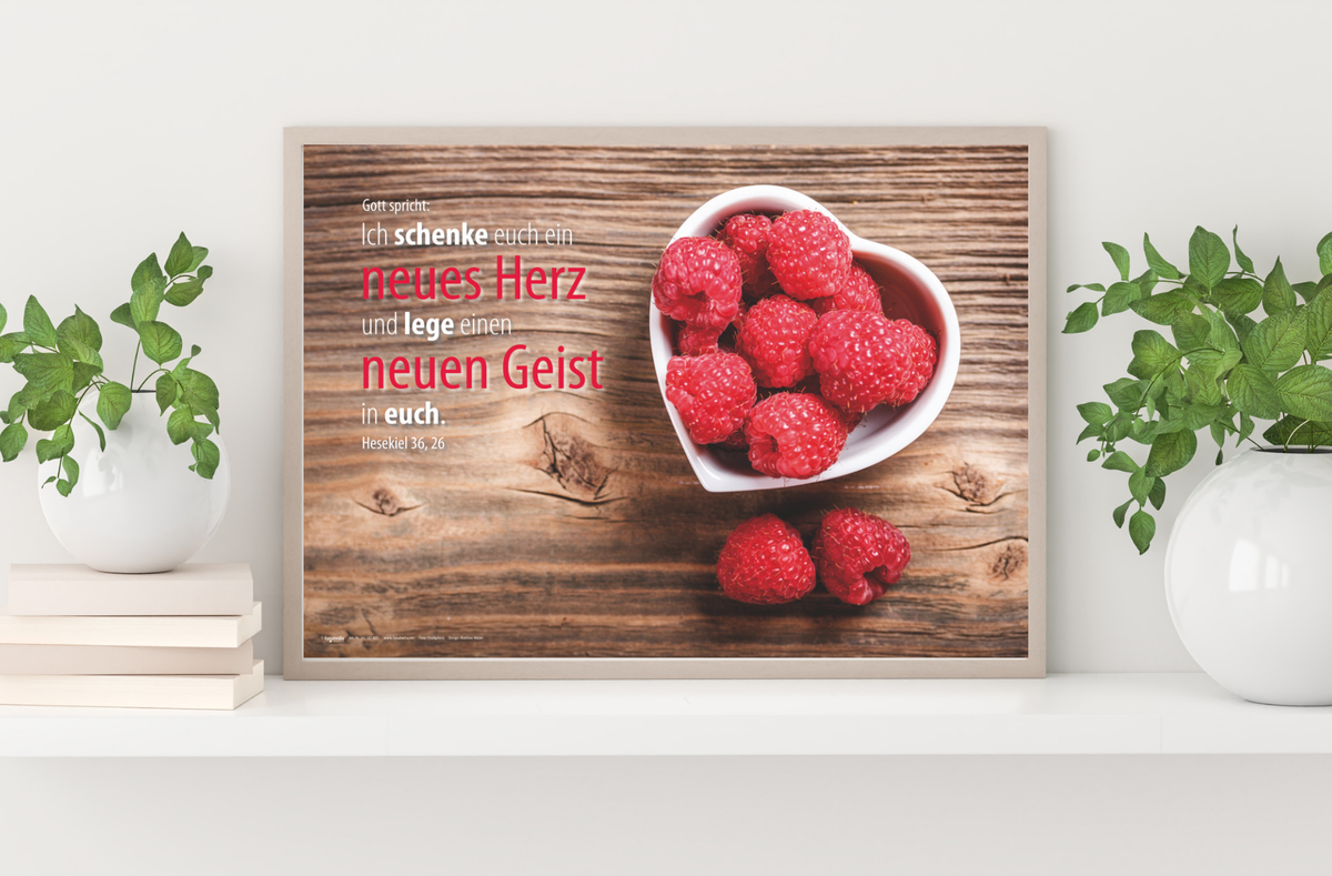 Poster A3 Jahreslosung 2017