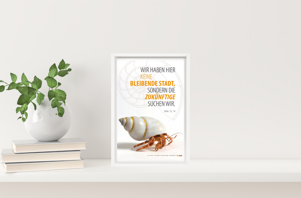 Poster A4 JL 2013 - Einsiedlerkrebs