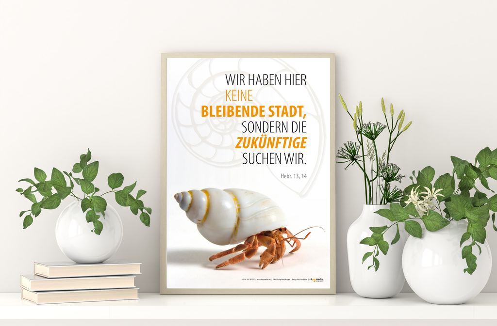 Poster A3 Jahreslosung 2013 - Einsiedlerkrebs