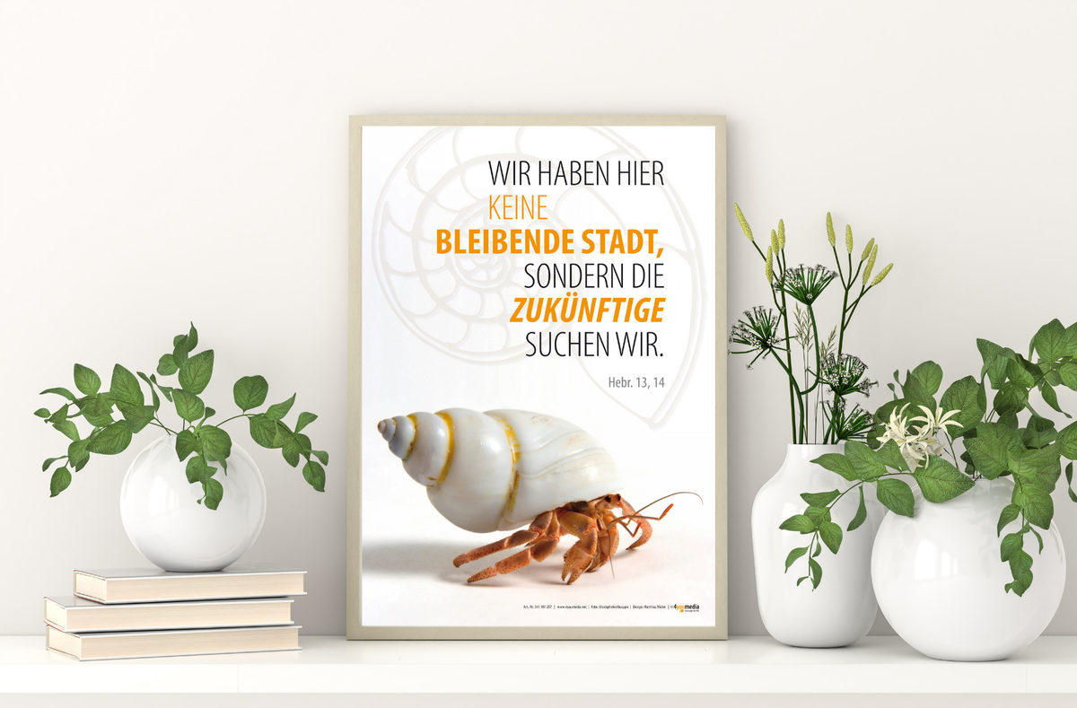 Poster A3 Jahreslosung 2013 - Einsiedlerkrebs