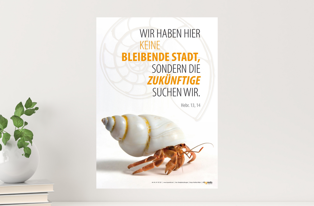 Poster A2 Jahreslosung 2013 - Einsiedlerkrebs