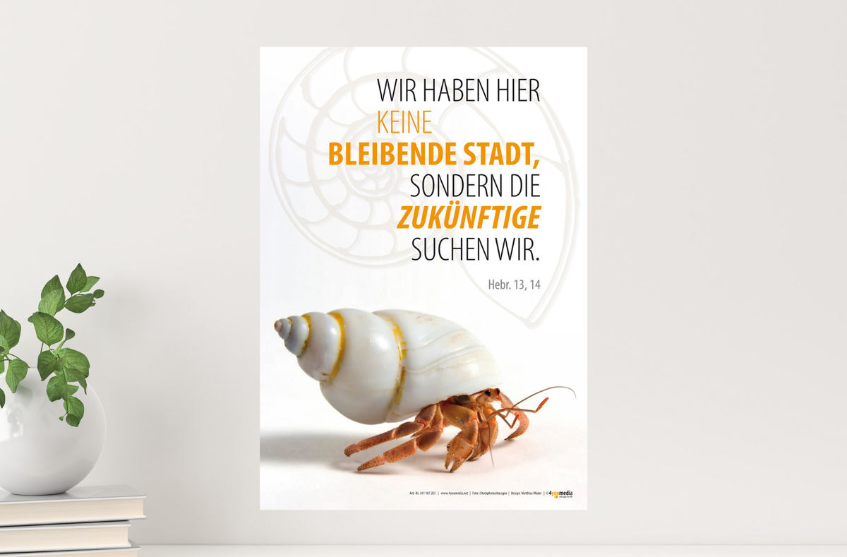 Poster A2 Jahreslosung 2013 - Einsiedlerkrebs