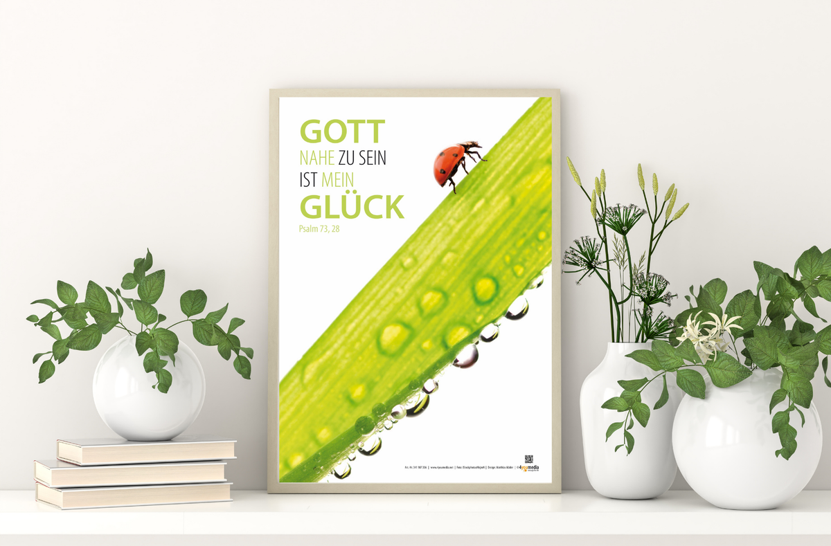 Poster A3 laminiert Jahreslosung 2014