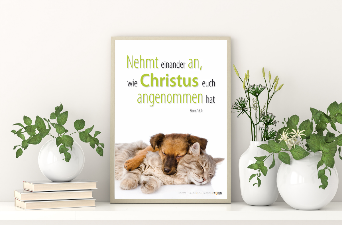 Poster A3 laminiert Jahreslosung 2015