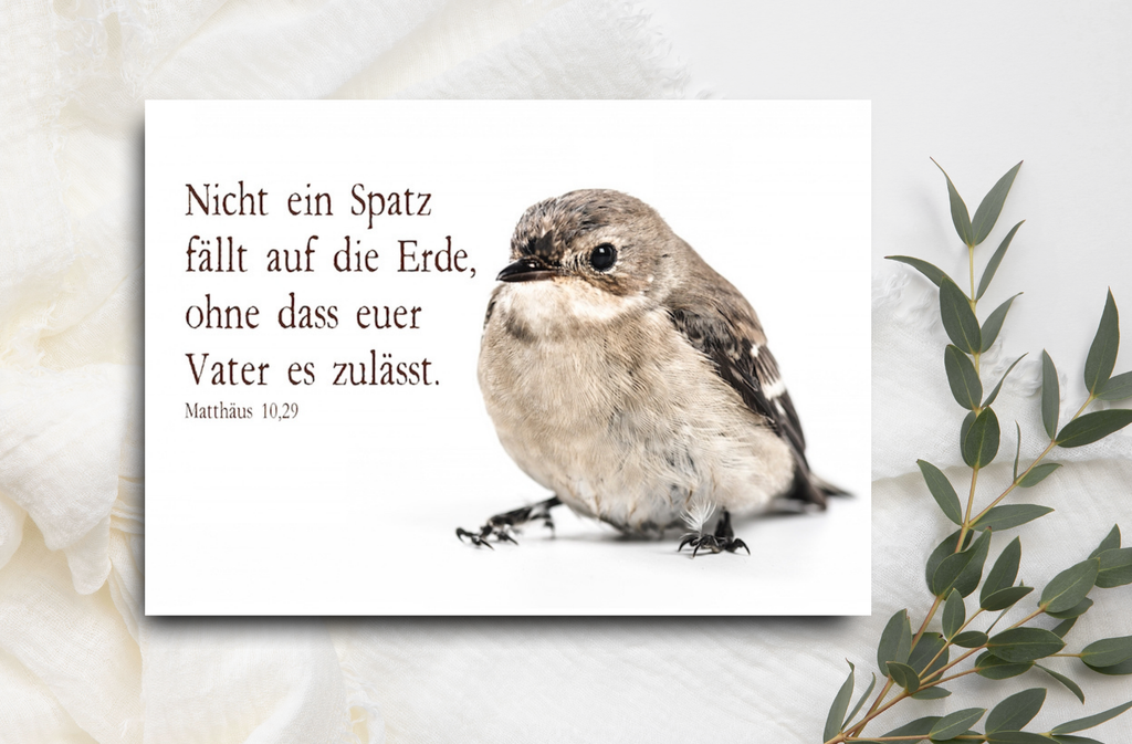 Postkarte  Nicht ein Spatz fällt auf die Erde