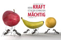 Faltkarte Jahreslosung 2012